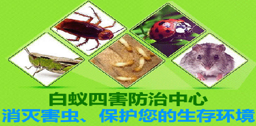公司简介